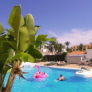 apartment-in-paraiso-royal-playa-de-las-americas-tenerife.tenerifehoteles.net/